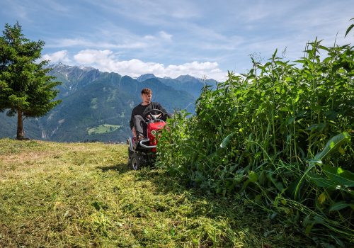 DSC_8194-Vylepšené-N