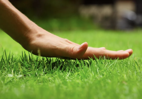 Snímek obrazovky 2025-08-15 v 6.58.22