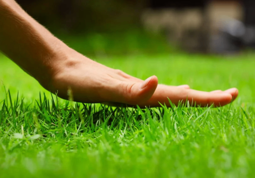 Snímek obrazovky 2025-08-15 v 6.58.22