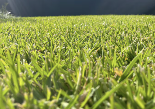 Snímek obrazovky 2025-08-15 v 7.08.45